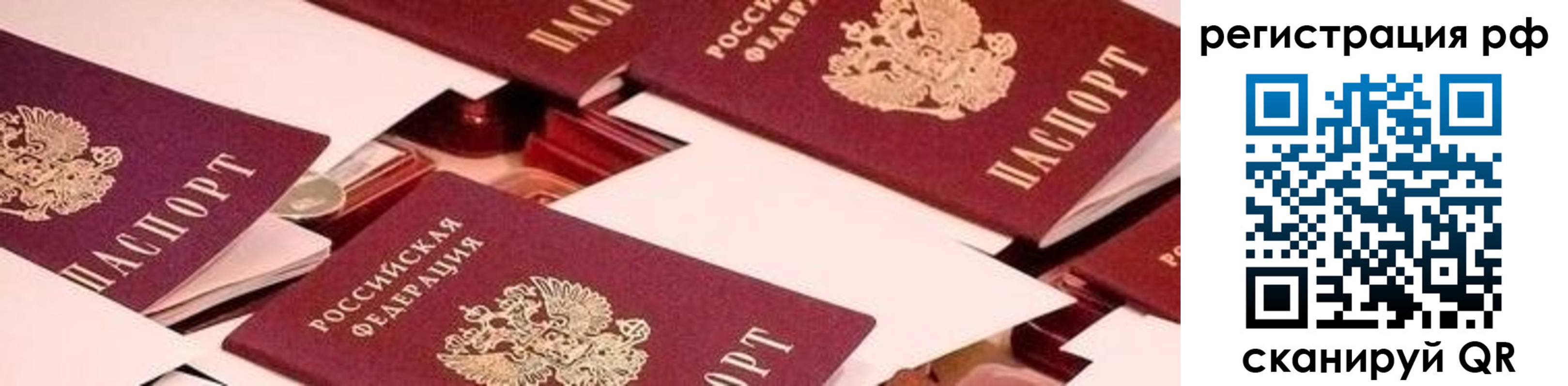временная регистрация недорого в Видном